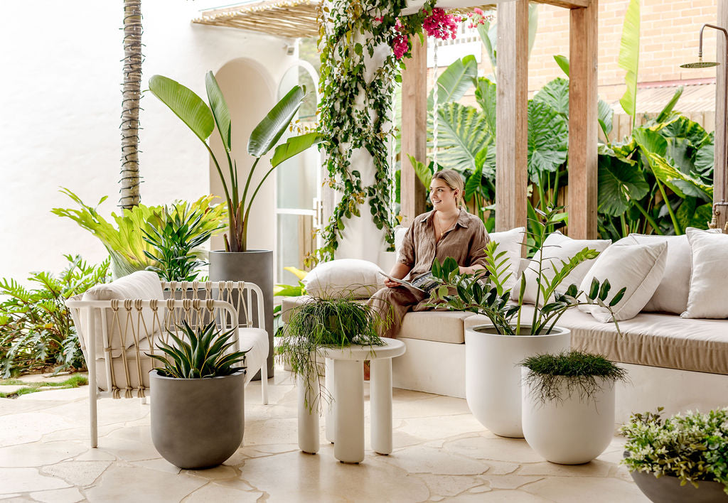 Your Expert Guide to Choosing the Perfect Designer Pots