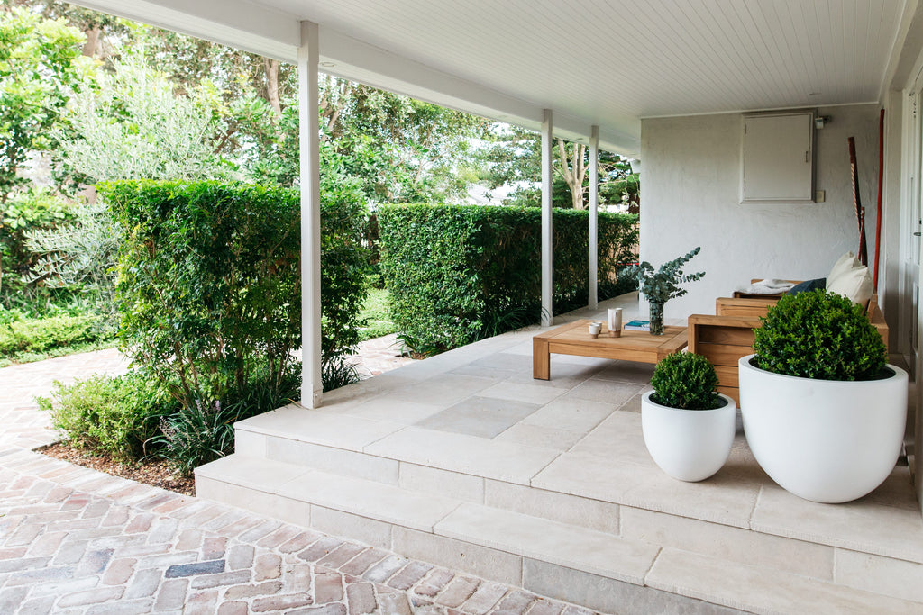 Elevate Your London Outdoor Space with Stylish Planters and Indoor Houseplant Pots