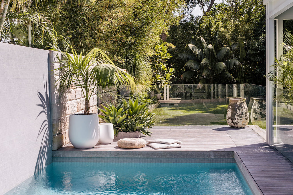 Gardening Pots and Planters: Transforming London Gardens into Urban Oases