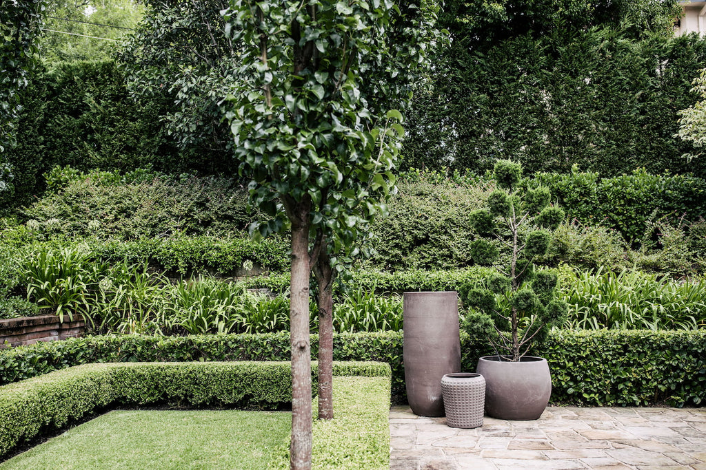 Transforming Your London Outdoor Space with Large Outdoor Plant Containers