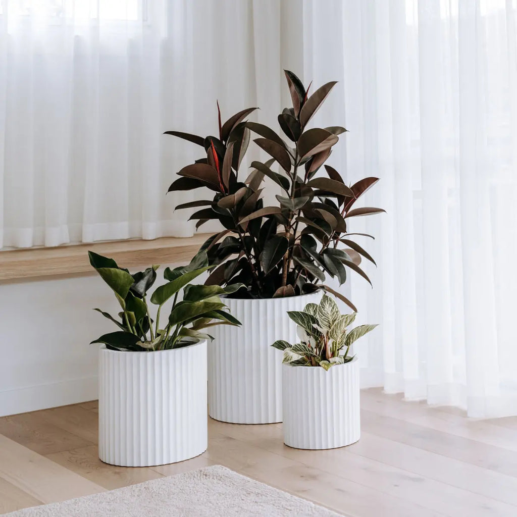 White garden pots in a london home