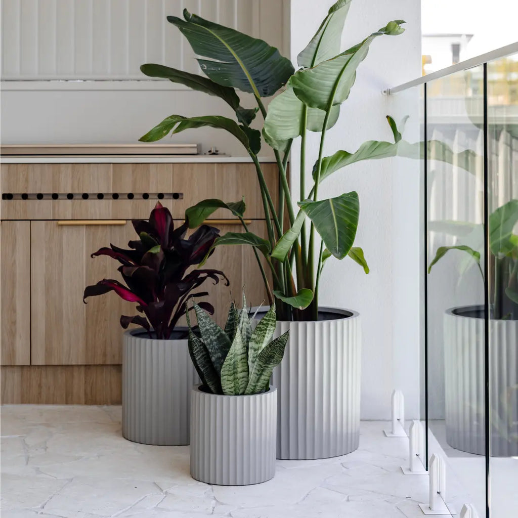 Internal Planting Indoor Garden Pots | Indoor Plants and Planter Pots – The Balcony Garden UK