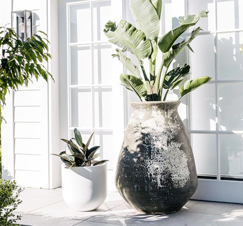 Large Pots