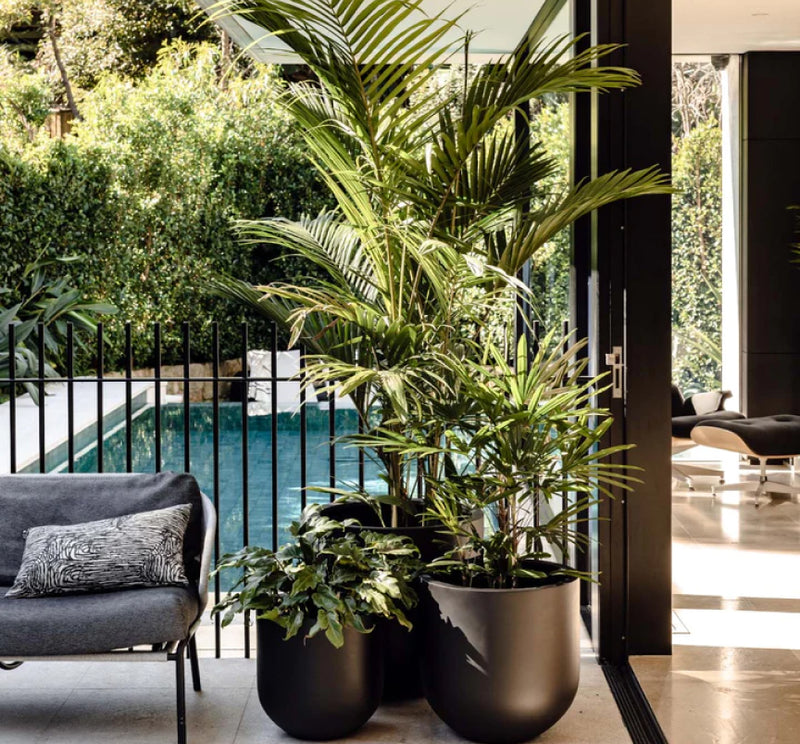 Outdoor Pots
